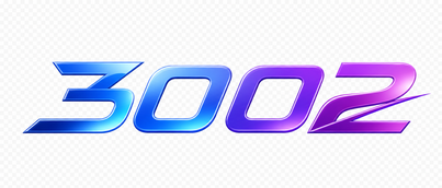 3002